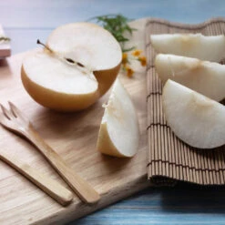 20th Century (Nijisseiki) Asian Pear Tree -Arbor Day Foundation Store 20thCentury Pear 1 FGT 6807a32e cb1f 4918 97d7 0be553512605