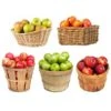 5-in-1 Apple Tree -Arbor Day Foundation Store 5 in 1 Apple 600x600 7aa95aa9 ebc1 4f49 a1e8 94e9b1d7155c
