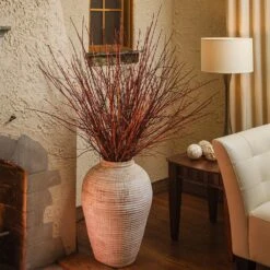 Arctic Fire® Red Twig Dogwood 12 Arctic Fire® Red Twig Dogwood -Arbor Day Foundation Store Arctic Fire Twig Dogwood 6 FGT