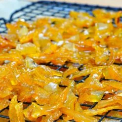 Buddha's Hand Citron -Arbor Day Foundation Store BUddhas Hand Citrus 5