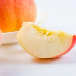 Belle Of Georgia Peach Tree (USDA Organic) 10 Belle Of Georgia Peach Tree (USDA Organic) -Arbor Day Foundation Store Belle of Georgia 3