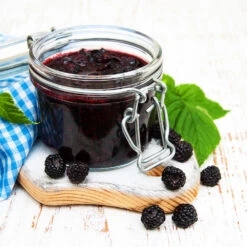 Big Daddy Blackberry Bush -Arbor Day Foundation Store Big Daddy Blackberry 3