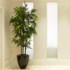 Black Bamboo -Arbor Day Foundation Store Black Bamboo FGT 600x600 04de0fc5 1b5b 4ead b329 04b366290ad6