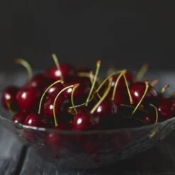 Black Tartarian Cherry Tree -Arbor Day Foundation Store Black Tartarian Cherry Tree 2 FGT