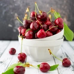 Brooks Cherry Tree -Arbor Day Foundation Store Brooks Cherry Tree 5 FGT