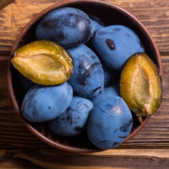 Brooks Plum Tree 11 Brooks Plum Tree -Arbor Day Foundation Store Brooks Plum 2