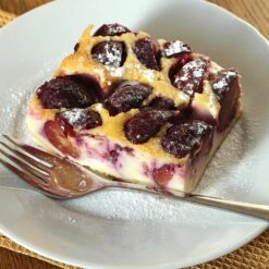 Burgundy Plum Tree -Arbor Day Foundation Store Burgundy Plum 3