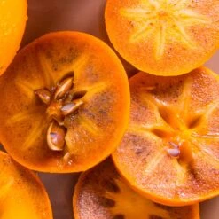 Chocolate Persimmon Tree -Arbor Day Foundation Store CHocolate Persimmon 2