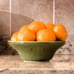 Calamondin Bush -Arbor Day Foundation Store Calamondin Bush 4