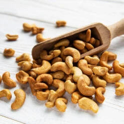 Cashew Tree -Arbor Day Foundation Store Cashew Nut Tree 5