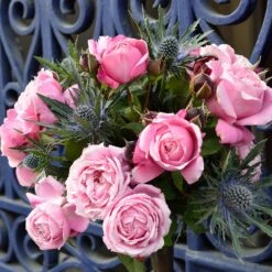 Cathedral Bells Rose 8 Cathedral Bells Rose -Arbor Day Foundation Store Cathedral Bells Rose Tree 2