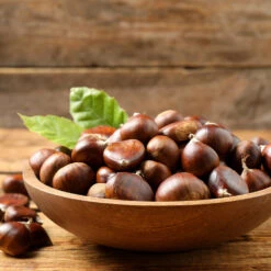 Chinese Chestnut Tree -Arbor Day Foundation Store Chinese Chestnut 3 FGT