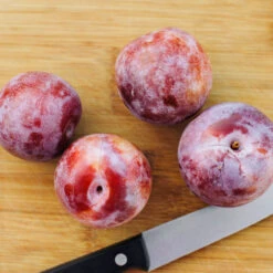 Dapple Dandy Pluot Tree 7 Dapple Dandy Pluot Tree -Arbor Day Foundation Store Dapple Dandy 2