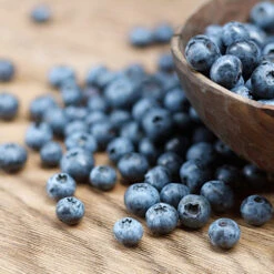 Emerald Blueberry Bush -Arbor Day Foundation Store Emerald Blueberries 1