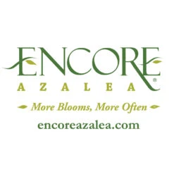 Autumn Belle® Encore® Azalea Shrub -Arbor Day Foundation Store Encore Logo 1000x1000 f5ab977c d52a 42c7 bcc7 eb2c9ea0b488