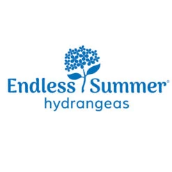 Endless Summer® Summer Crush® Hydrangea -Arbor Day Foundation Store Endless Summer Hydrangeas 1000x1000 347a4889 45a5 42f4 94f1 e0220955e380
