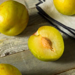 Flavor Queen Pluot® 9 Flavor Queen Pluot® -Arbor Day Foundation Store Flavor Queen Pluot 2