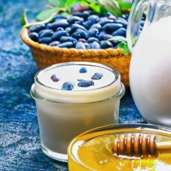 Indigo Gem Haskap (Honeyberry) -Arbor Day Foundation Store Indigo GEm Haskap 1