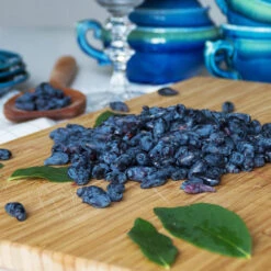 Indigo Treat Haskap (Honeyberry) -Arbor Day Foundation Store Indigo Treat Hascap 2 BB