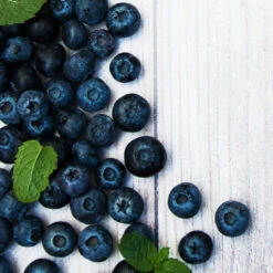 Jewel Blueberry Bush -Arbor Day Foundation Store Jewel Blueberry 2