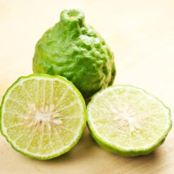 Kaffer 'Kieffer' Lime Tree -Arbor Day Foundation Store Kaffir Lime 7 FGT