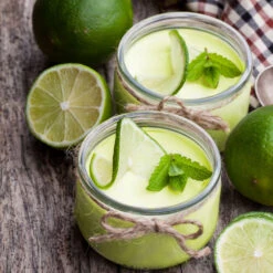 Key Lime Tree - USDA Organic 12 Key Lime Tree - USDA Organic -Arbor Day Foundation Store Key Lime Tree 4 FGT 8c9c096a 80b3 4ead b08e 43cfbd23c3a2