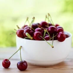 Lapins Cherry Tree -Arbor Day Foundation Store Lapins Cherry Tree 2 FGT 325a18e6 7143 4729 a41b b0d9614909b8