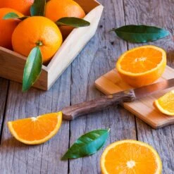 Midknight Valencia Orange -Arbor Day Foundation Store MidKnight Orange 3 FGT