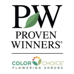 Fruit Punch® ‘Maraschino’ Dianthus -Arbor Day Foundation Store PW Logo CC 1000x1000 cc8aeffe 0d24 4712 8a44 2d61b17529ba