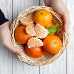 Page Mandarin Tree -Arbor Day Foundation Store Page Mandarin Tree 2 FGT