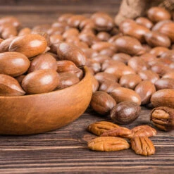 Pawnee Pecan Tree -Arbor Day Foundation Store Pawnee Pecan 4 FGT