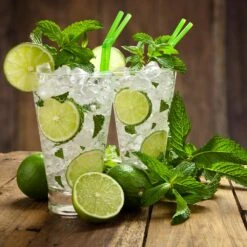 Persian 'Bearss' Lime Tree -Arbor Day Foundation Store Persian Lime Tree 4 FGT