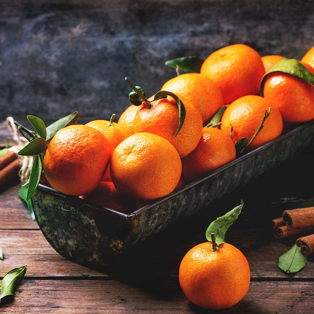 Pixie Mandarin Tree 6 Pixie Mandarin Tree - Image 4