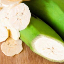 Puerto Rican Plantain Banana Tree -Arbor Day Foundation Store Puerto Rican Plantain Banana Tree 3