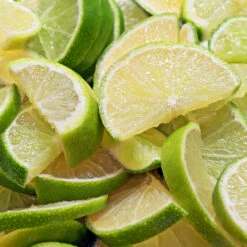 Persian 'Bearss' Lime Bush -Arbor Day Foundation Store Pursian Lime Bush 1 FGT 8e948345 4f0b 4e96 a96f a17b7b31b7ab