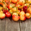 Rainier Cherry Tree -Arbor Day Foundation Store Rainier Cherry Tree FGT 600x600 1094475e 5dab 4191 8167 5c5a6519bb91