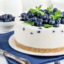 Sunshine Blue Blueberry Bush -Arbor Day Foundation Store SUnshine BLue Blueberry 4