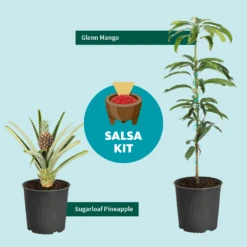 Salsa Kit -Arbor Day Foundation Store SalsaKitGraphic