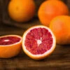 Sanguinelli Blood Orange Tree -Arbor Day Foundation Store Sanguinelli Blood Orange FGT 600x600 7a7de938 a6c5 4521 84f8 c031e9f36cc2