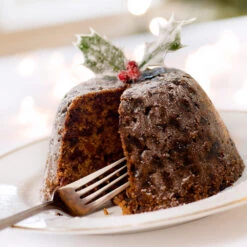 Satsuma Plum Tree -Arbor Day Foundation Store Satsuma Plum 4