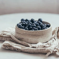 Sharpblue Blueberry Bush -Arbor Day Foundation Store Sharpblue Blueberry 1