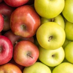 2-in-1 Apple Surprise Tree -Arbor Day Foundation Store Surprise Apple 1 5277609f 2a1f 491f 804c c001e47d74ac