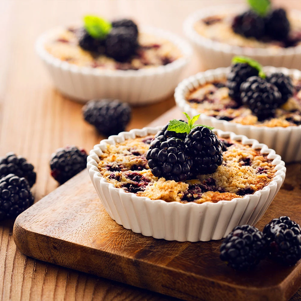 Thornless Blackberry 6 Thornless Blackberry - Image 4