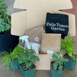 Patio Tomato Garden 11 Patio Tomato Garden -Arbor Day Foundation Store Tomato Garden kit 2