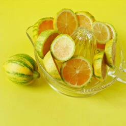 Pink Variegated Eureka Lemon Tree 12 Pink Variegated Eureka Lemon Tree -Arbor Day Foundation Store Variegated Pink Eureka 3 fc1d5a93 7ca6 443b a4e9 221de3f12f84