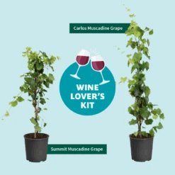 Wine Lover's Kit -Arbor Day Foundation Store WineLoversKitGraphic 2