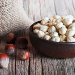 York Filbert Hazelnut -Arbor Day Foundation Store York Hazelnut 5